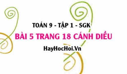 Bài 5 trang 18 Toán 9 tập 1 Cánh Diều